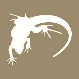 Lounge Lizard - شرکت طراحی سایت